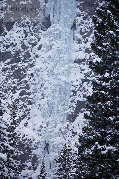 Zwei weibliche Eiskletterer steigen die multi-pitch Eis-Route  Moonlight WI4  auch Thomas Creek  Kananaskis  Alberta  Kanada