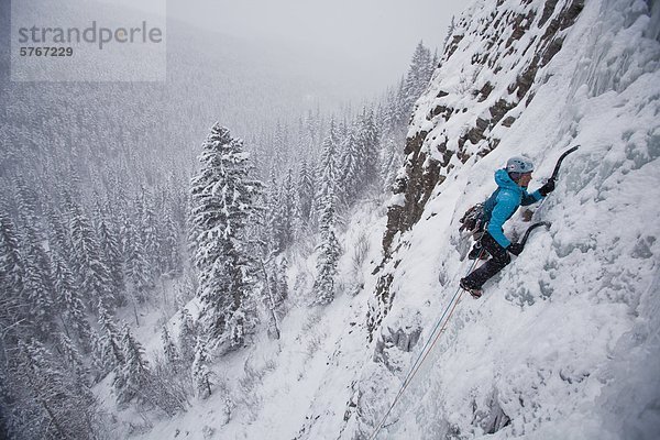 Eine starke weibliche Kletterer Eis klettert Moonlight WI4  auch Thomas Creek  Kananaskis  Alberta  Kanada