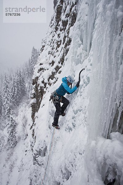 Eine starke weibliche Kletterer Eis klettert Moonlight WI4  auch Thomas Creek  Kananaskis  Alberta  Kanada