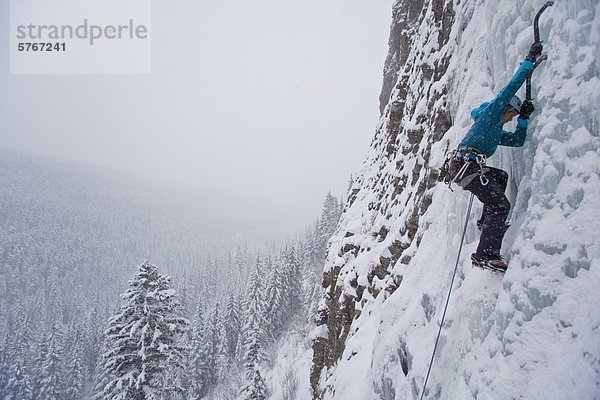 Eine starke weibliche Kletterer Eis klettert Moonlight WI4  auch Thomas Creek  Kananaskis  Alberta  Kanada