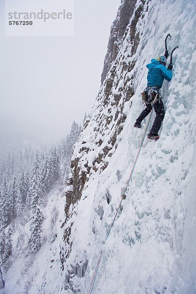 Eine starke weibliche Kletterer Eis klettert Moonlight WI4  auch Thomas Creek  Kananaskis  Alberta  Kanada