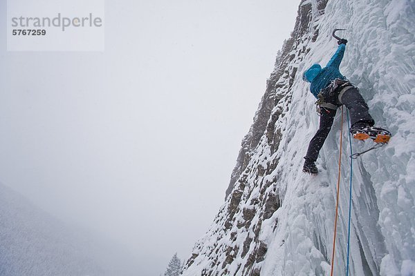 Eine starke weibliche Kletterer Eis klettert Moonlight WI4  auch Thomas Creek  Kananaskis  Alberta  Kanada