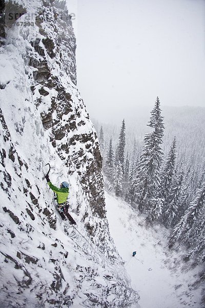 Eine starke weibliche Eiskletterer arbeitet ihr Weg nach oben Snowline WI4  auch Thomas Creek  Kananaskis  Alberta  Kanada