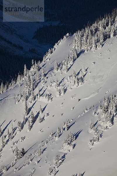 benutzen Snowboardfahrer treten unbewohnte entlegene Gegend Splitboard Rip Linie