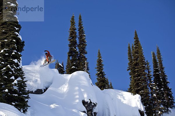 Ein Snowboarder-Allüren ausschalten einen Schnee-Kissen auf einer Katze-Ski-Reise. Monashee Mountains  Vernon  Britsh Columbia  Kanada