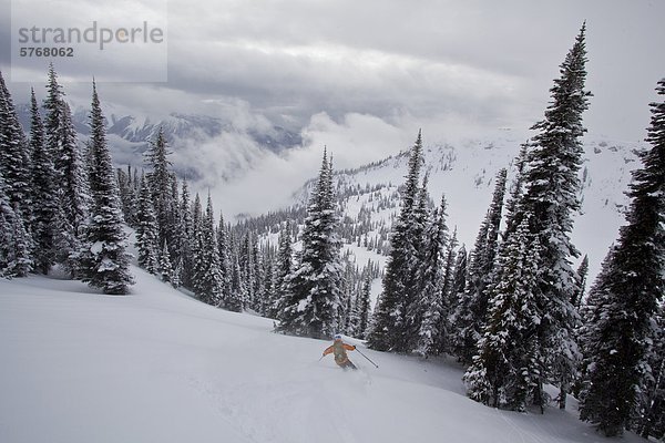 Ein Mann Ski tiefen Pulver in den Monashee beim Skifahren Katze. Vernon  Britsh Columbia  Kanada