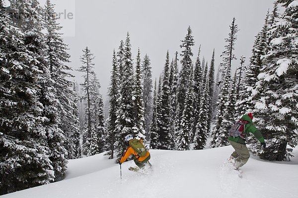 Ein Mann Ski tiefen Pulver in den Monashee beim Skifahren Katze. Vernon  Britsh Columbia  Kanada