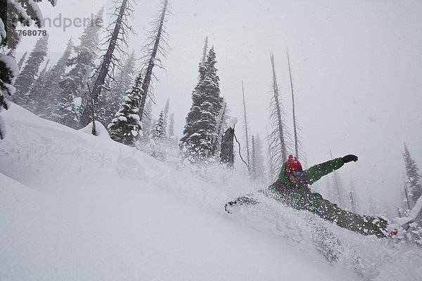 Ein Hinterland Snowboarder sprüht ein Pulver-Zuges auf einer Katze-Ski-Reise. Monashee  Vernon  Britsh Columbia  Kanada