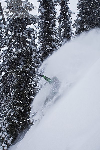 Ein Hinterland Snowboarder sprüht ein Pulver-Zuges auf einer Katze-Ski-Reise. Monashee  Vernon  Britsh Columbia  Kanada