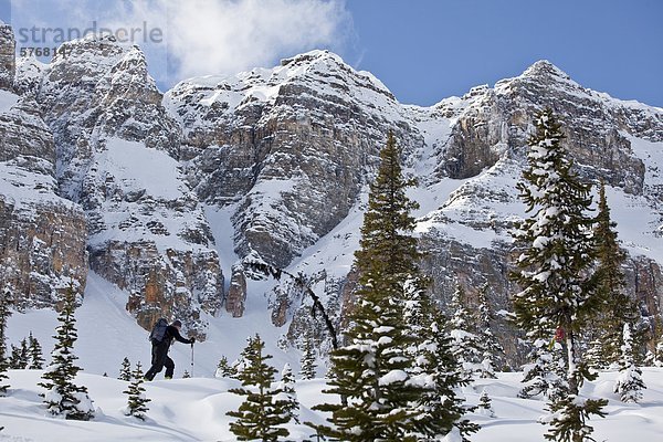 Eine männliche Telemark-Skifahrer-Skins seinen Weg bis in die alpinen  Icefields Parkway  Banff Natinoal Park  Alberta  Kanada