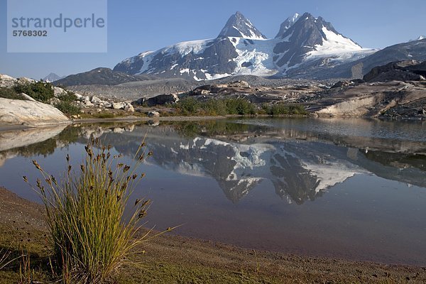 Wanderweg zum Titcomb Becken  Wind River Range  Wyoming  Vereinigte Staaten von Amerika