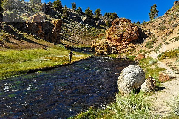 Mann  Fliegenfischen  Hot Creek  California  Vereinigte Staaten von Amerika