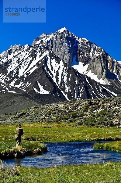 Mann  Fliegenfischen  Hot Creek  California  Vereinigte Staaten von Amerika