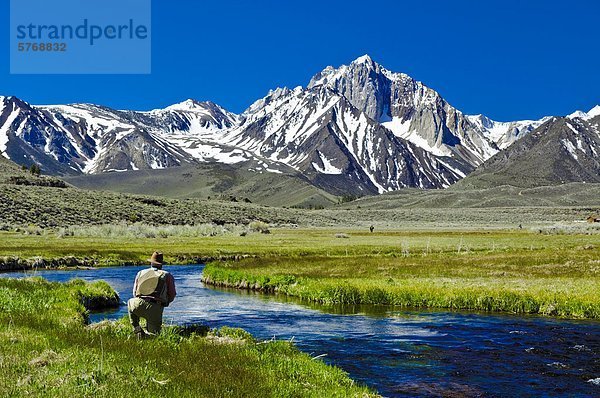 Mann  Fliegenfischen  Hot Creek  California  Vereinigte Staaten von Amerika