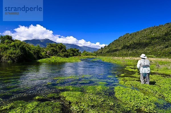 Mann  Fliegenfischen  Spring Creek  Südinsel  neue Zealand0