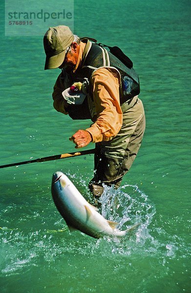 Mann  Fliegenfischen  Dean River  British Columbia  Kanada