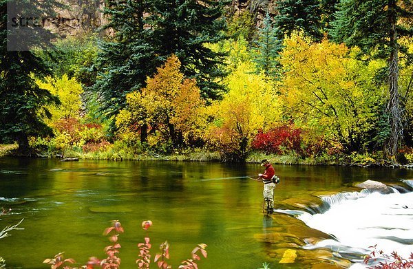 Mann  Fliegenfischen  Fryingpan River  Colorado  Vereinigte Staaten von Amerika