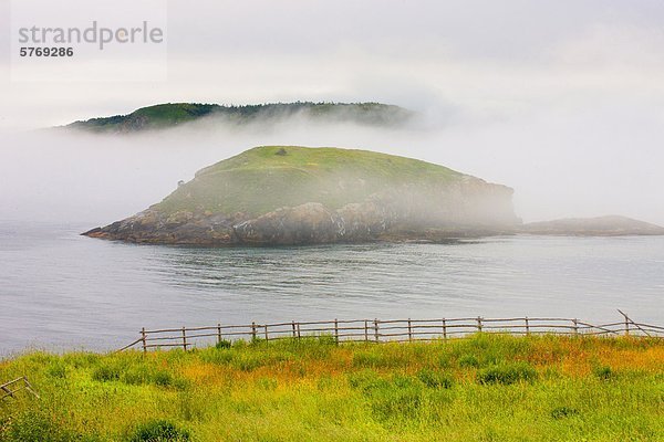 bedecken Nebel verbrannt Insel Gewölbe groß großes großer große großen urinieren Neufundland Saint Marys Ecological Reserve Bucht Kanada