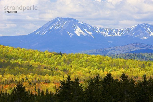 Mount Katahdin eingehüllt in Wolke  Baxter State Park  Maine  Vereinigte Staaten von Amerika