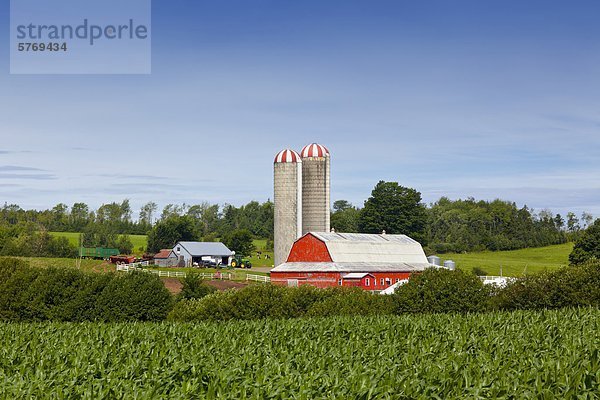 nahe Kornfeld Scheune Kanada Nova Scotia Neuschottland Truro