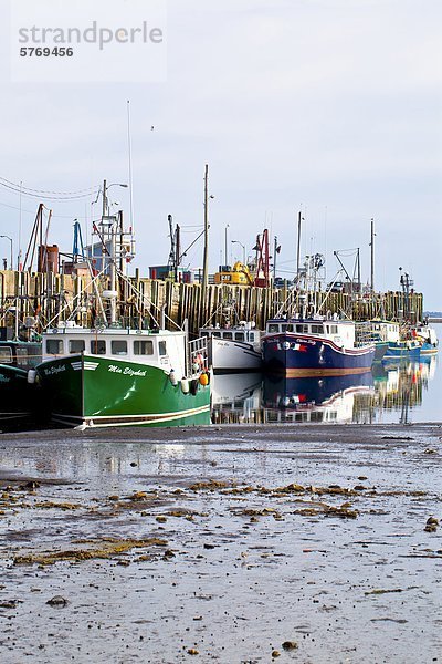 Fischerboote gefesselt nach wharf bei Ebbe  Bremerhaven  Bucht von Fundy  Nova Scotia  Kanada