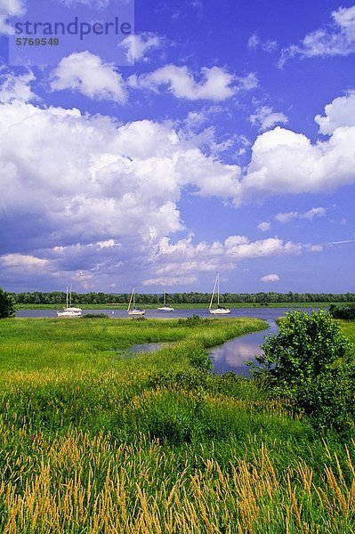 Segelboote verankert  Gagetown  Saint John River  New Brunswick  Kanada