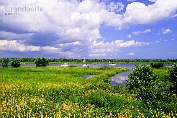 Segelboote verankert  Gagetown  Saint John River  New Brunswick  Kanada