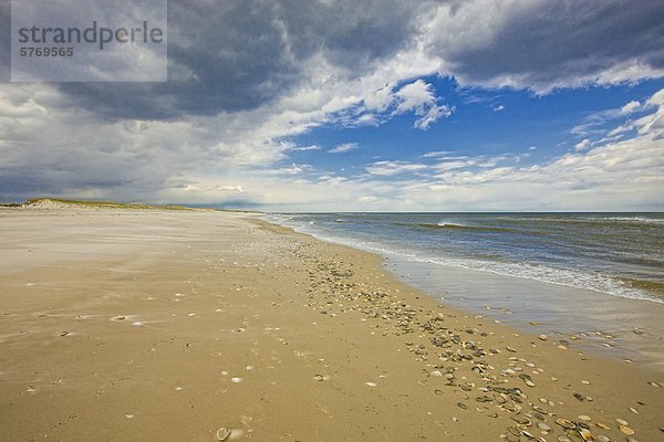 Vereinigte Staaten von Amerika USA Strand Muschel Bucht New Jersey