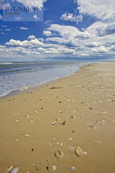 überbacken Vereinigte Staaten von Amerika USA Strand Muschel Bucht New Jersey