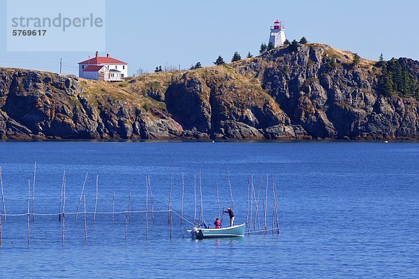 Prüfung Netz Forscher Schweinswal Bay of Fundy Kanada Grand Manan Island New Brunswick Neubraunschweig Falle Fallen