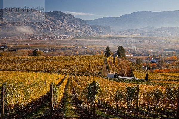 Weingut Fernverkehrsstraße Ignoranz Ansicht British Columbia Kanada Weinberg