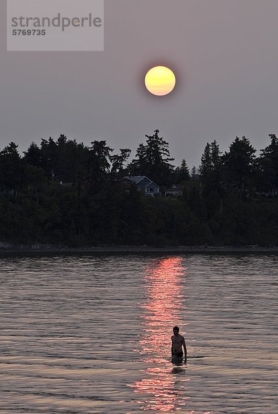 Ein einsamer Mann watet durch das Wasser  wie die untergehende Sonne auf den ruhigen Gewässern des Qualicum Bay  Qualicum Beach  zentrale Vancouver Island  British Columbia  Kanada reflektiert.
