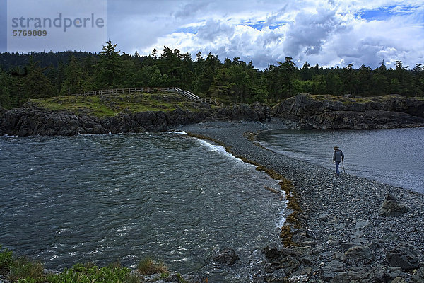 Ein älterer Mann mit einem Gehstock  Spaziergänge allein bei Ebbe. Dieser Pfad befindet sich am Hals Point Park in Nanaimo  British Columbia  Kanada  ist nur bei Ebbe sichtbar.