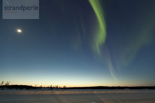 Die Aurora Borealis oder Nordlichter  über die Eisstraße am Tibbtit See  Yellowknife  Northwest Territories  Kanada.