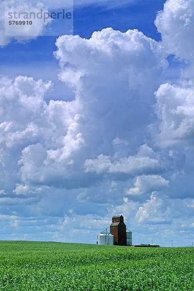 Getreidefeld  alte Grain Elevator und entwickelnden Gewitterwolken  Cadillac  Saskatchewan  Kanada