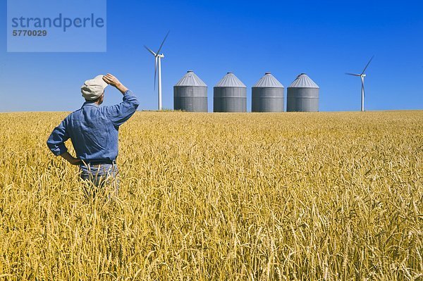 Windturbine Windrad Windräder Getreidesilo Getreide Mann über reifer Erwachsene reife Erwachsene Weizenfeld
