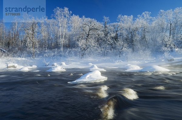 Winter am Fluss Whiteshell Whiteshell Provincial Park  Manitoba  Kanada