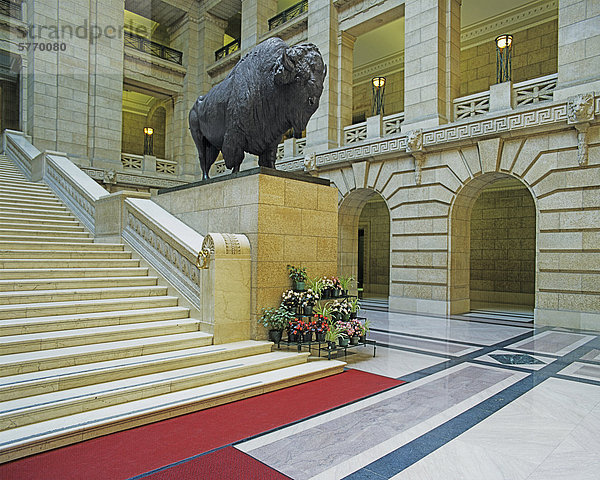 Noth American Bison Statue und das große Treppenhaus  Parlamentsgebäude von Manitoba  Winnipeg  Manitoba  Kanada