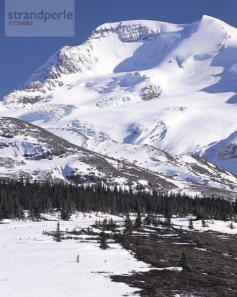 Silverhorn Peak  Jasper-Nationalpark und Mount Athabaska UNESCO World Heritage Site  Alberta  Kanada