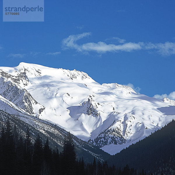 Illecillewaet Gletscher  Glacier Nationalpark  Selkirk Mountains  Kootenay Rockies  British Columbia  Kanada
