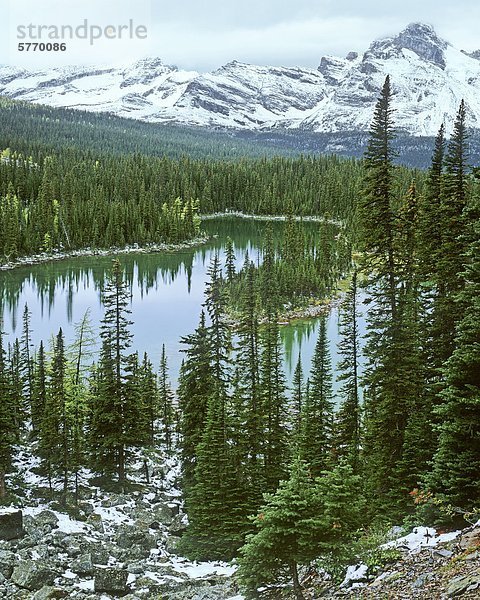 Mary Lake  Yoho-Nationalpark  Kootenay Rockies  British Columbia  Kanada