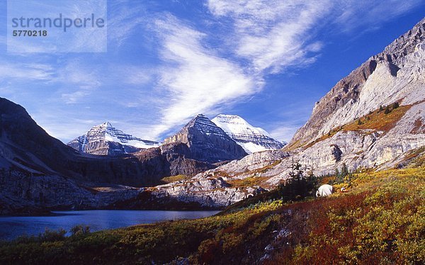 Wokkpash Erholungsgebiet  Herbstfarben  nördlichen Rocky Mountains  British Columbia  Kanada
