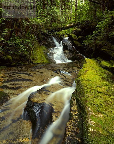 Wasserfall  Ellerslie Valley  British Columbia  Kanada