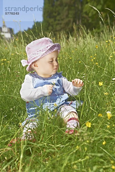 Weibliches Baby sitzt in einer Wiese mit Butterblumen