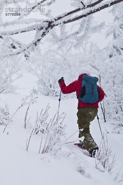 Eine junge Frau  Schneeschuhwandern im frischen Powder in den östlichen Townships auf Mt. Schinken  Quebec  Kanada