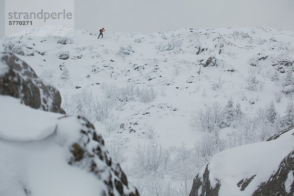 Ein junger Mann  Schneeschuhwandern im frischen Powder in den östlichen Townships auf Mt. Schinken  Quebec  Kanada