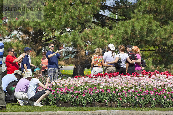 Kleine Menge von Menschen fotografieren eine Tulpe Bett während der Ottawa Tulip Festival im Mai 2011  Ottawa  Ontario  Kanada