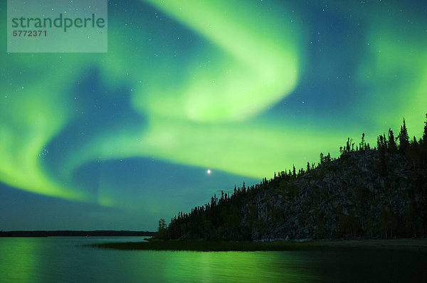 Aurora Borealis (Polarlichter)  borealen Wald  Umgebung von Yellowknife  Northwest Territories  Kanada