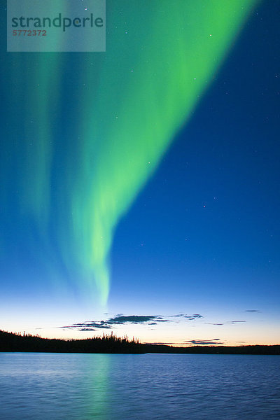 Aurora Borealis (Polarlichter)  borealen Wald  Umgebung von Yellowknife  Northwest Territories  Kanada