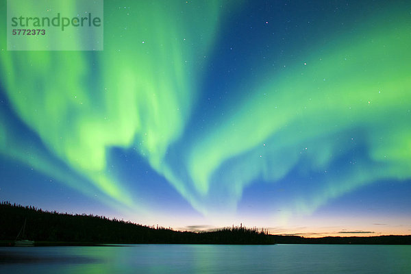 Aurora Borealis (Polarlichter)  borealen Wald  Umgebung von Yellowknife  Northwest Territories  Kanada